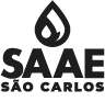 logo-saae-sao-carlos