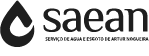 logo-saean