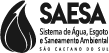 logo-saesa